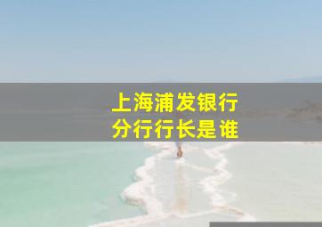 上海浦发银行分行行长是谁