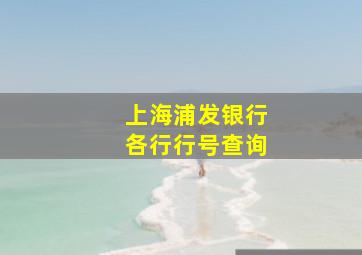 上海浦发银行各行行号查询