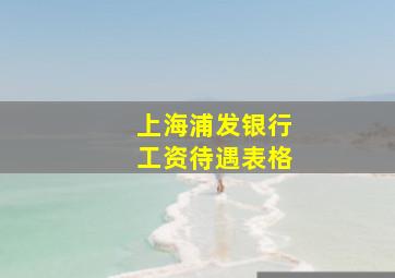 上海浦发银行工资待遇表格