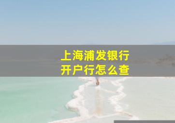 上海浦发银行开户行怎么查