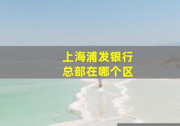 上海浦发银行总部在哪个区