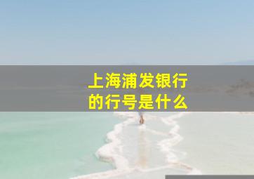 上海浦发银行的行号是什么