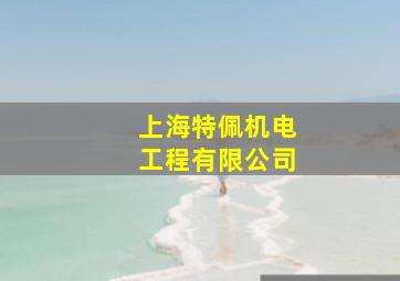 上海特佩机电工程有限公司