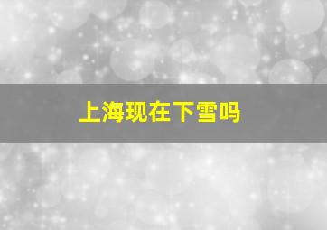 上海现在下雪吗