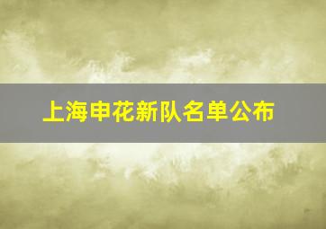 上海申花新队名单公布