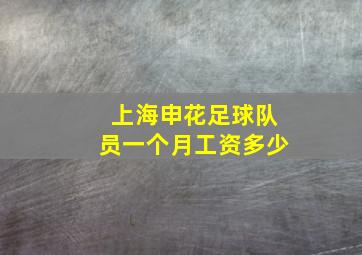 上海申花足球队员一个月工资多少