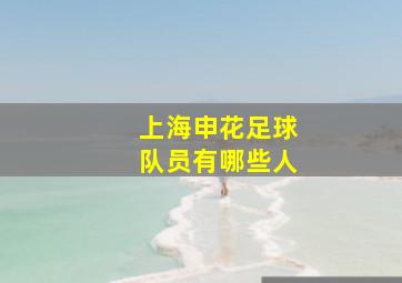 上海申花足球队员有哪些人