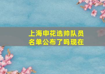 上海申花选帅队员名单公布了吗现在