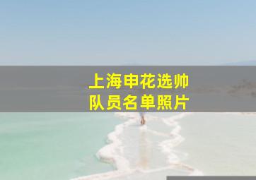 上海申花选帅队员名单照片