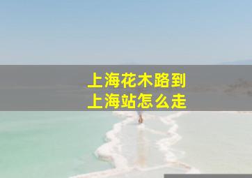 上海花木路到上海站怎么走