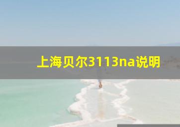 上海贝尔3113na说明