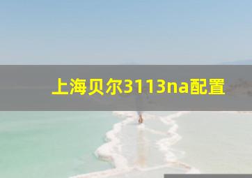 上海贝尔3113na配置