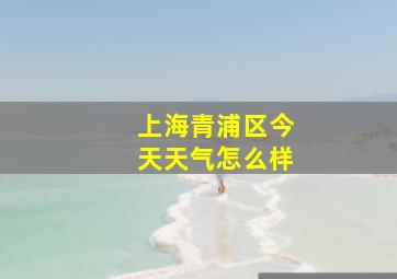 上海青浦区今天天气怎么样