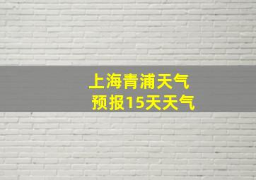 上海青浦天气预报15天天气