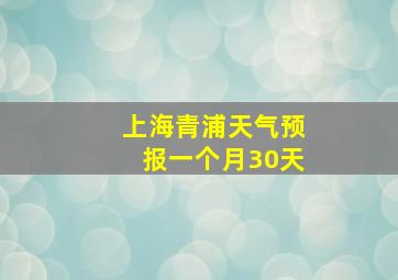 上海青浦天气预报一个月30天