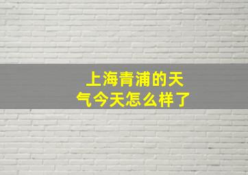 上海青浦的天气今天怎么样了