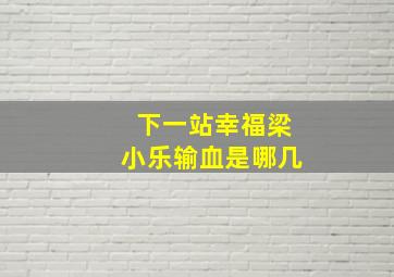 下一站幸福梁小乐输血是哪几