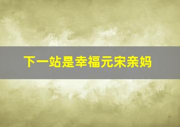 下一站是幸福元宋亲妈