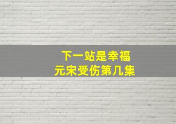 下一站是幸福元宋受伤第几集