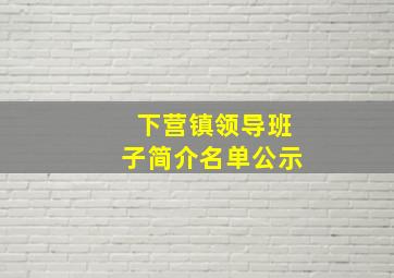 下营镇领导班子简介名单公示