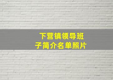 下营镇领导班子简介名单照片