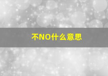 不NO什么意思