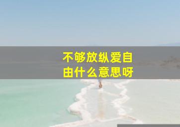 不够放纵爱自由什么意思呀