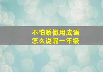 不怕骄傲用成语怎么说呢一年级