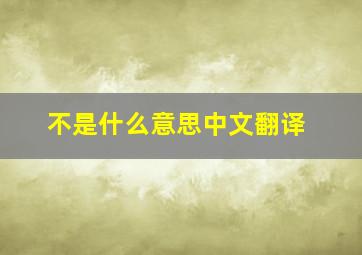 不是什么意思中文翻译