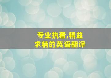 专业执着,精益求精的英语翻译