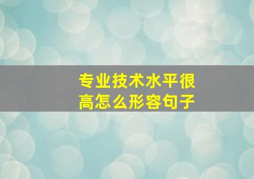 专业技术水平很高怎么形容句子