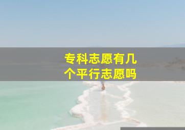 专科志愿有几个平行志愿吗