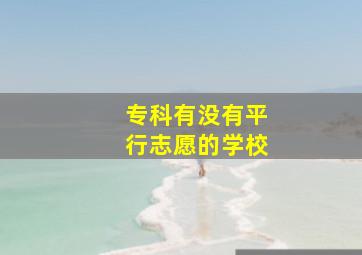 专科有没有平行志愿的学校