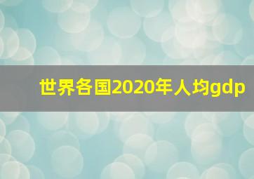 世界各国2020年人均gdp