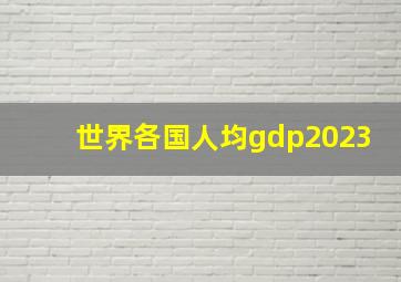 世界各国人均gdp2023