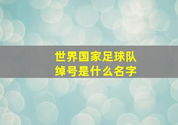 世界国家足球队绰号是什么名字