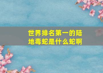 世界排名第一的陆地毒蛇是什么蛇啊