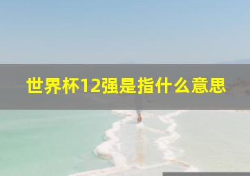 世界杯12强是指什么意思