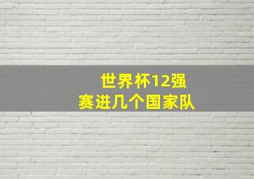 世界杯12强赛进几个国家队