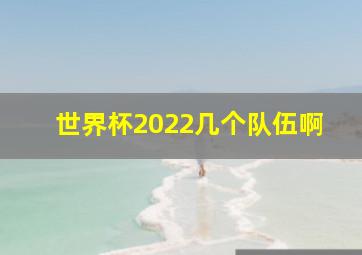 世界杯2022几个队伍啊