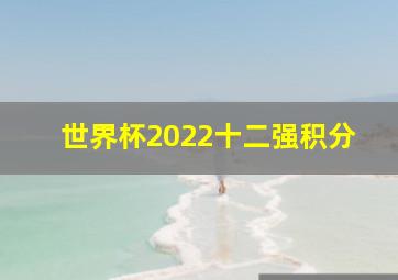 世界杯2022十二强积分