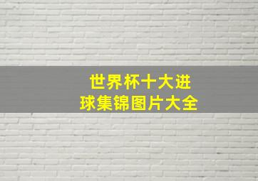 世界杯十大进球集锦图片大全