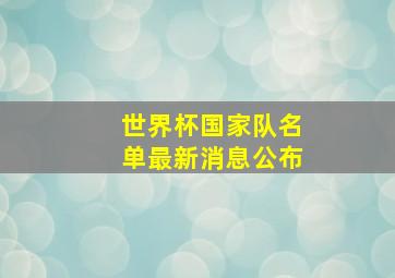 世界杯国家队名单最新消息公布