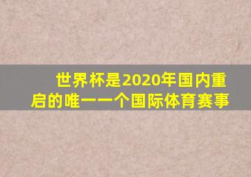 世界杯是2020年国内重启的唯一一个国际体育赛事