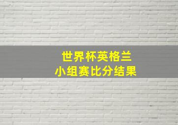 世界杯英格兰小组赛比分结果