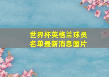 世界杯英格兰球员名单最新消息图片