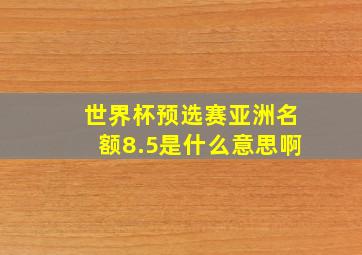 世界杯预选赛亚洲名额8.5是什么意思啊