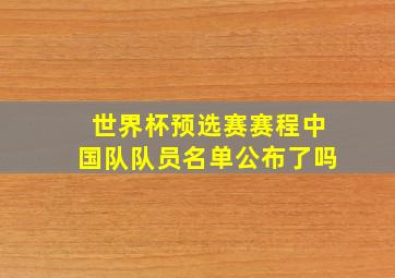 世界杯预选赛赛程中国队队员名单公布了吗