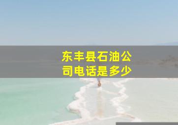 东丰县石油公司电话是多少