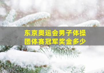 东京奥运会男子体操团体赛冠军奖金多少